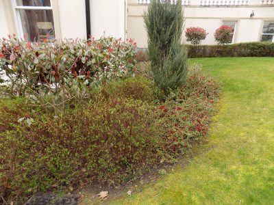 Commercial Gardening And Grounds Maintenance In Malvern 13