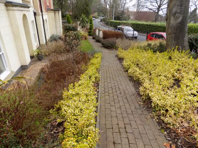 Commercial Gardening And Grounds Maintenance In Malvern 18