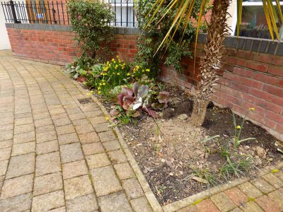 Commercial Gardening And Grounds Maintenance In Malvern 22