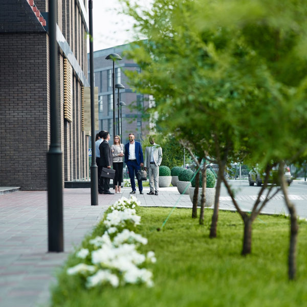 Out Of Season Office Grounds Maintenance