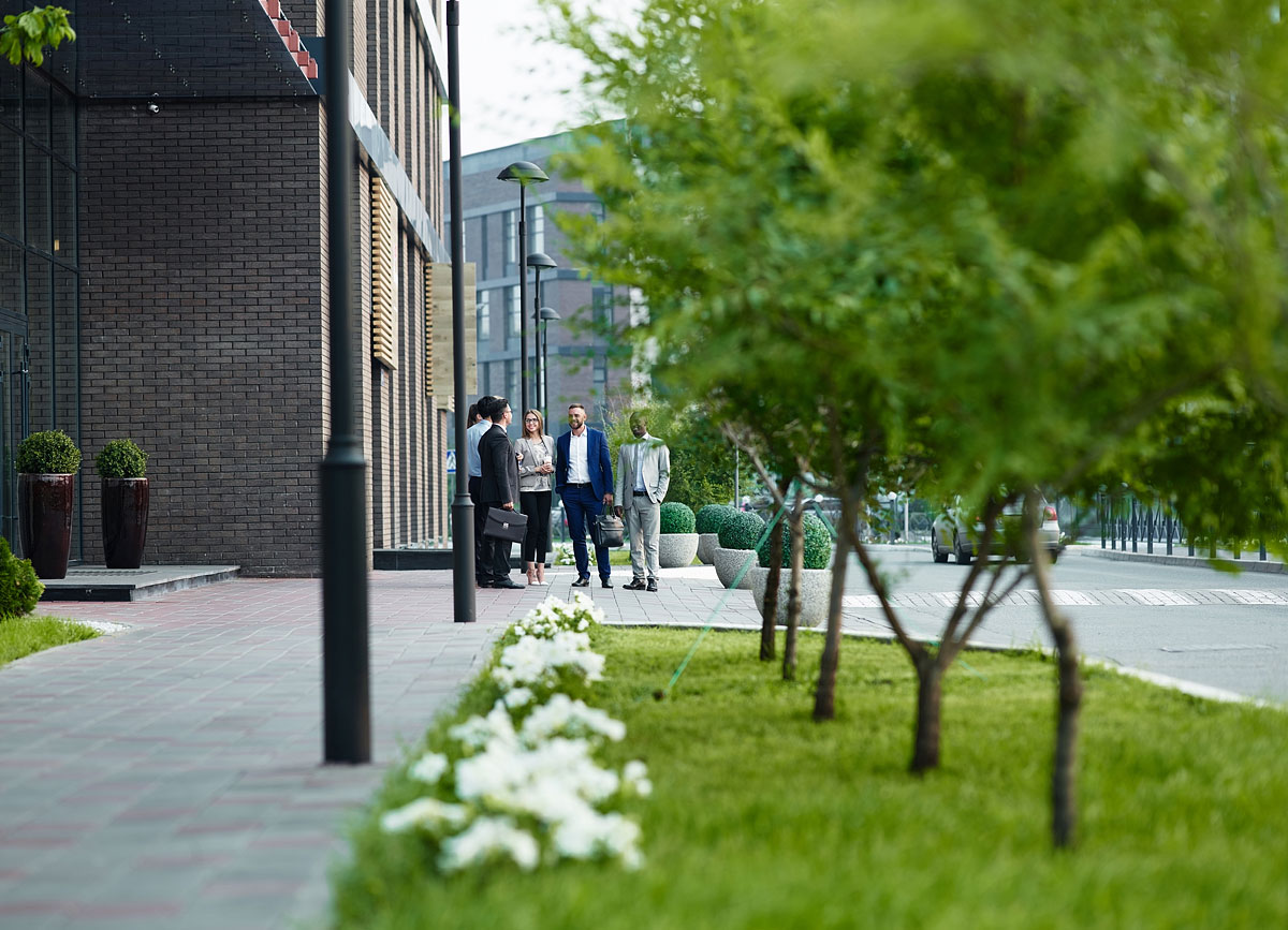 Out Of Season Office Grounds Maintenance