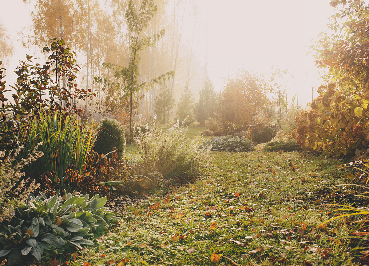 Winter Garden Maintenance Worcestershire