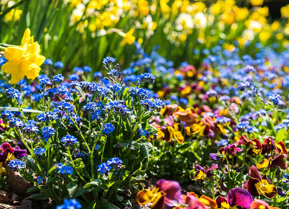 Fix Fencing Before Flowers